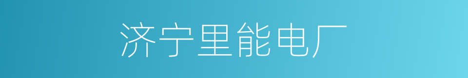 济宁里能电厂的同义词
