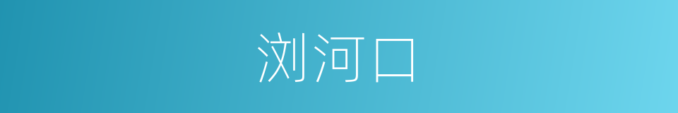 浏河口的同义词