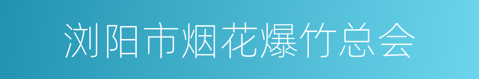 浏阳市烟花爆竹总会的同义词