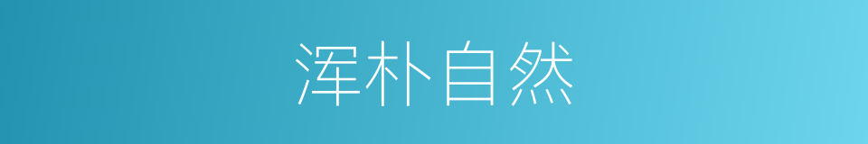 浑朴自然的同义词