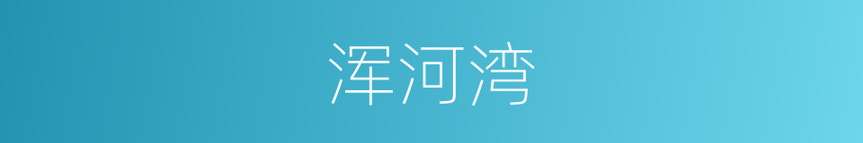 浑河湾的同义词