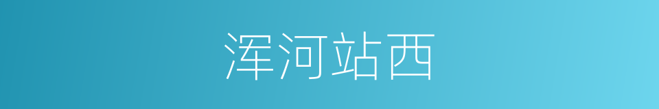 浑河站西的同义词