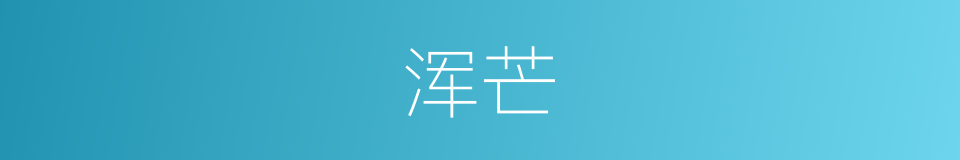 浑芒的意思