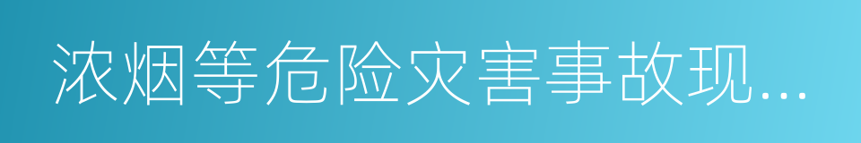 浓烟等危险灾害事故现场进行数据采集的同义词