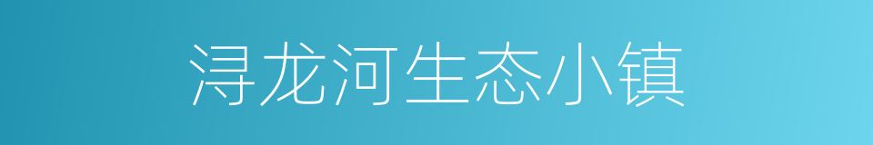 浔龙河生态小镇的同义词