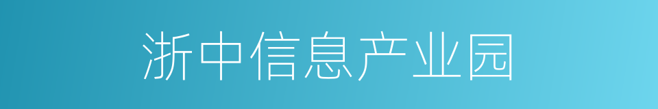 浙中信息产业园的同义词