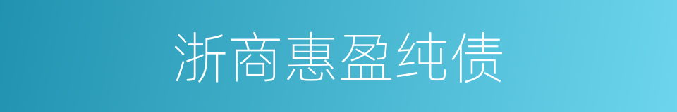 浙商惠盈纯债的同义词