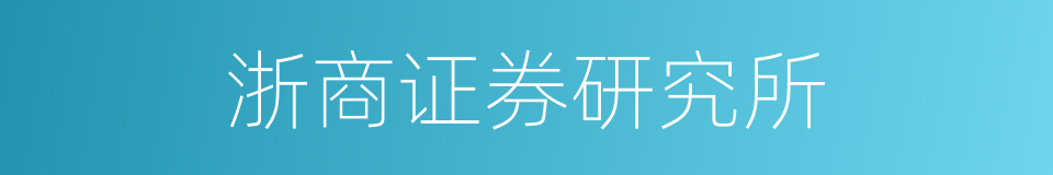 浙商证券研究所的同义词