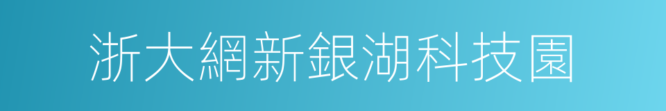 浙大網新銀湖科技園的同義詞