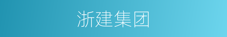 浙建集团的同义词