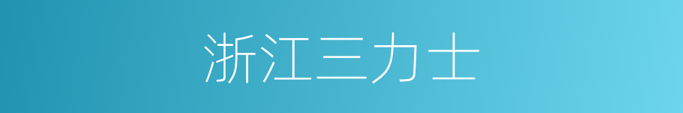 浙江三力士的同义词