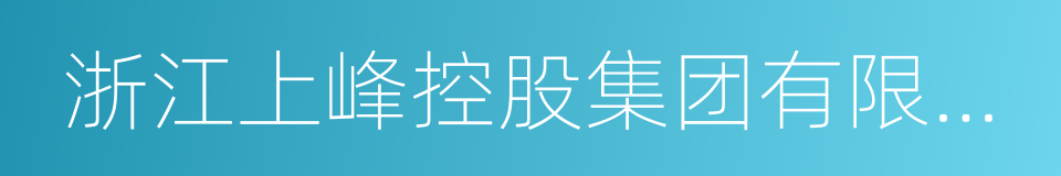 浙江上峰控股集团有限公司的同义词