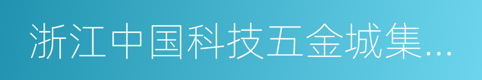 浙江中国科技五金城集团有限公司的同义词