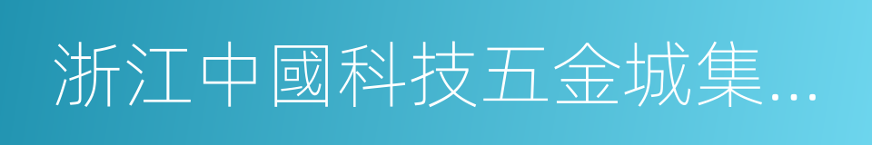 浙江中國科技五金城集團有限公司的同義詞