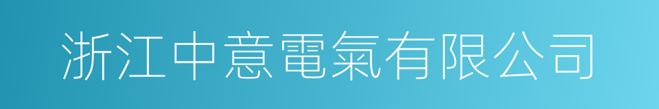 浙江中意電氣有限公司的同義詞