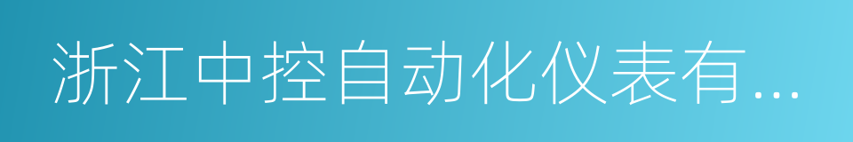 浙江中控自动化仪表有限公司的意思