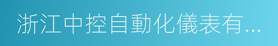 浙江中控自動化儀表有限公司的同義詞