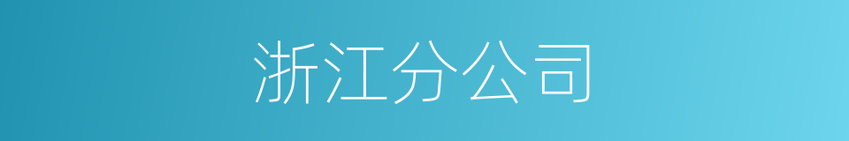 浙江分公司的同义词