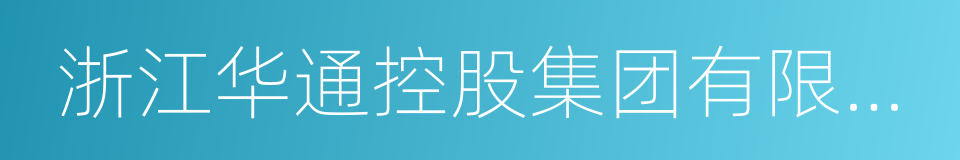 浙江华通控股集团有限公司的同义词