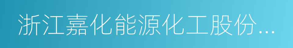 浙江嘉化能源化工股份有限公司的同义词