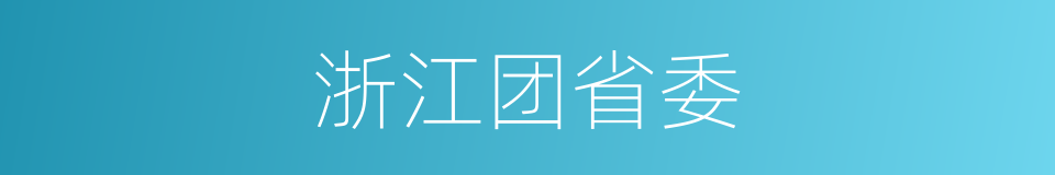 浙江团省委的同义词