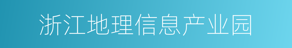 浙江地理信息产业园的同义词