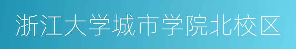 浙江大学城市学院北校区的同义词