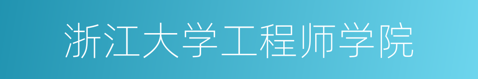 浙江大学工程师学院的同义词