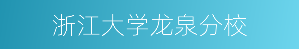 浙江大学龙泉分校的同义词