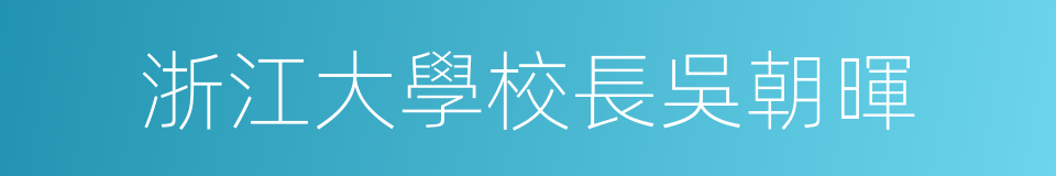 浙江大學校長吳朝暉的同義詞