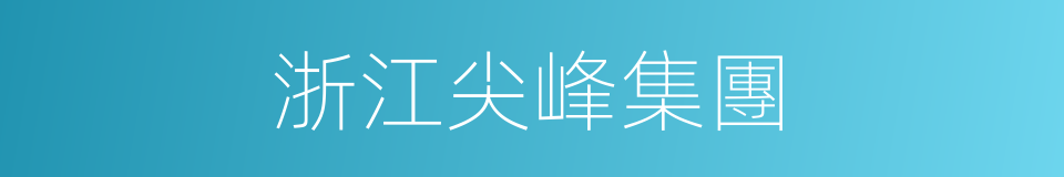 浙江尖峰集團的同義詞