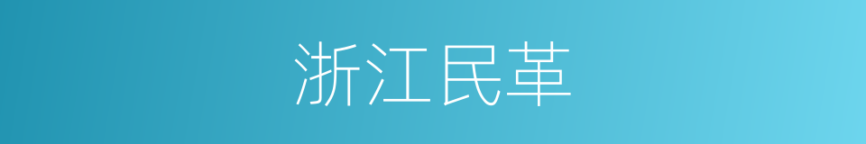 浙江民革的同义词