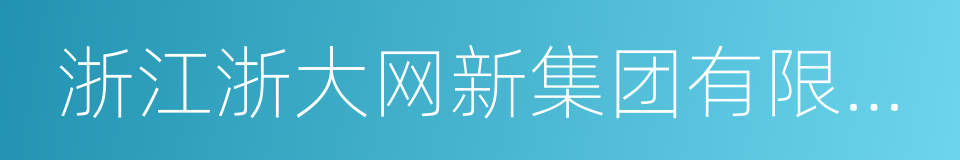 浙江浙大网新集团有限公司的同义词