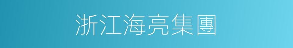 浙江海亮集團的同義詞