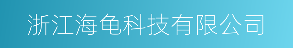 浙江海龟科技有限公司的同义词