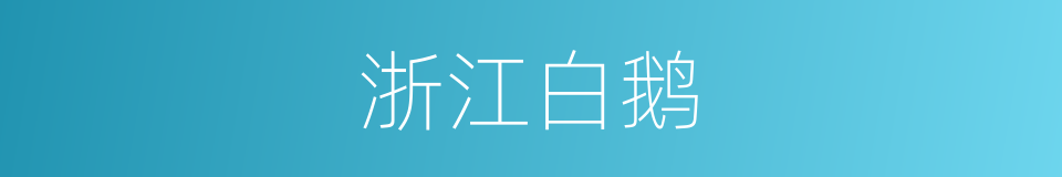 浙江白鹅的同义词