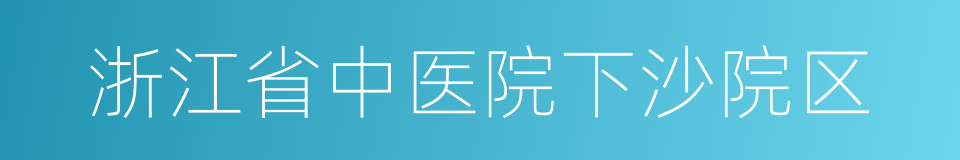 浙江省中医院下沙院区的同义词