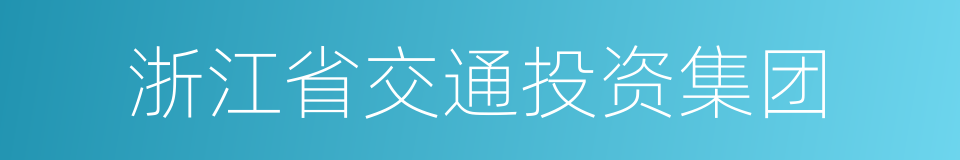 浙江省交通投资集团的同义词