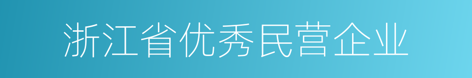 浙江省优秀民营企业的同义词