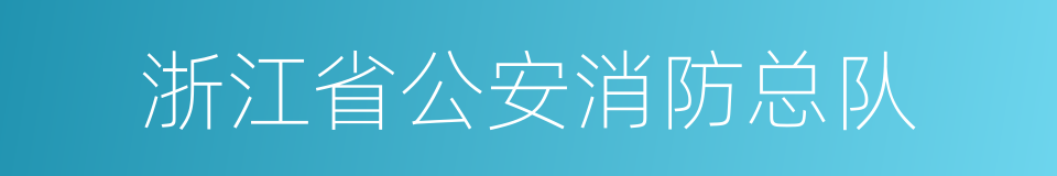 浙江省公安消防总队的同义词