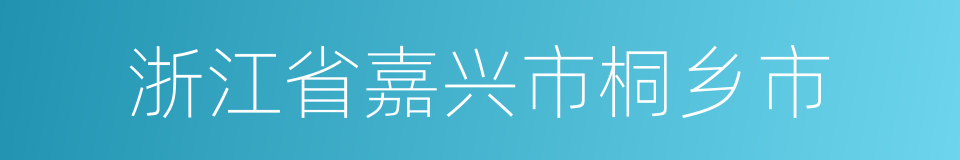 浙江省嘉兴市桐乡市的同义词