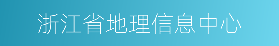 浙江省地理信息中心的同义词