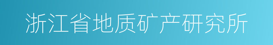 浙江省地质矿产研究所的同义词