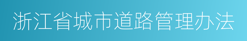 浙江省城市道路管理办法的同义词