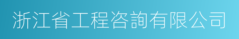 浙江省工程咨詢有限公司的同義詞