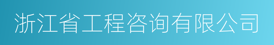 浙江省工程咨询有限公司的同义词