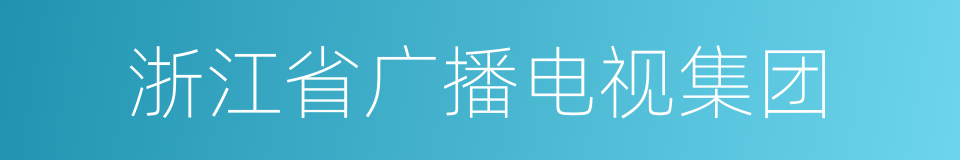 浙江省广播电视集团的同义词