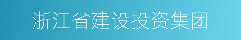 浙江省建设投资集团的同义词