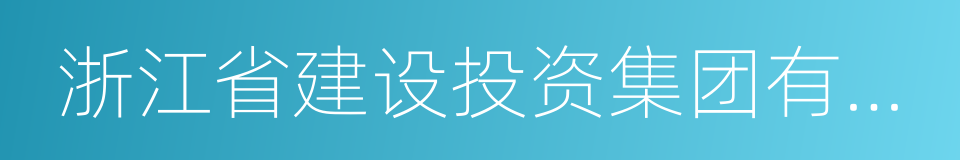 浙江省建设投资集团有限公司的同义词