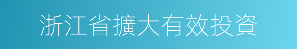 浙江省擴大有效投資的同義詞